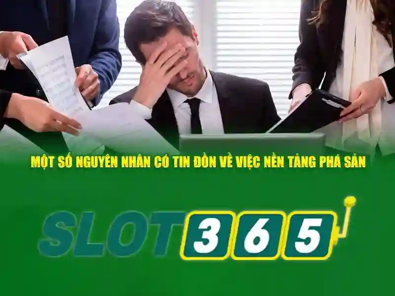Các sản phẩm Slot365 và ứng dụng