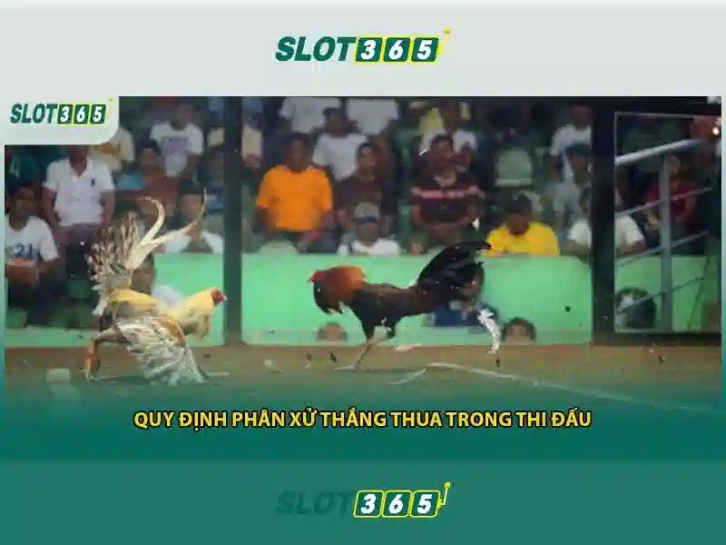 Slot365: Nền tảng chơi slot trực tuyến