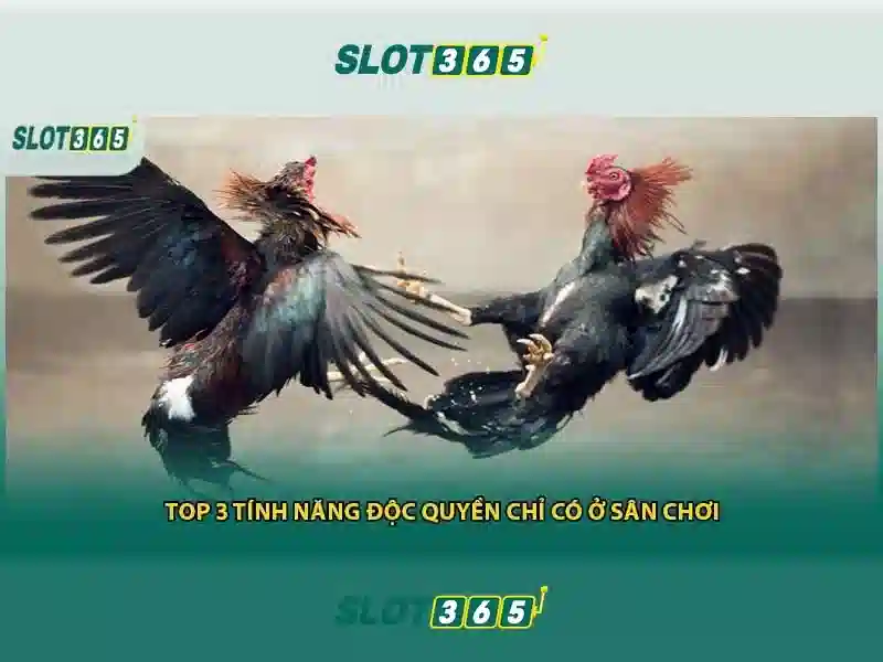 slot365 có lừa đảo không: Đánh giá và trải nghiệm thực tế