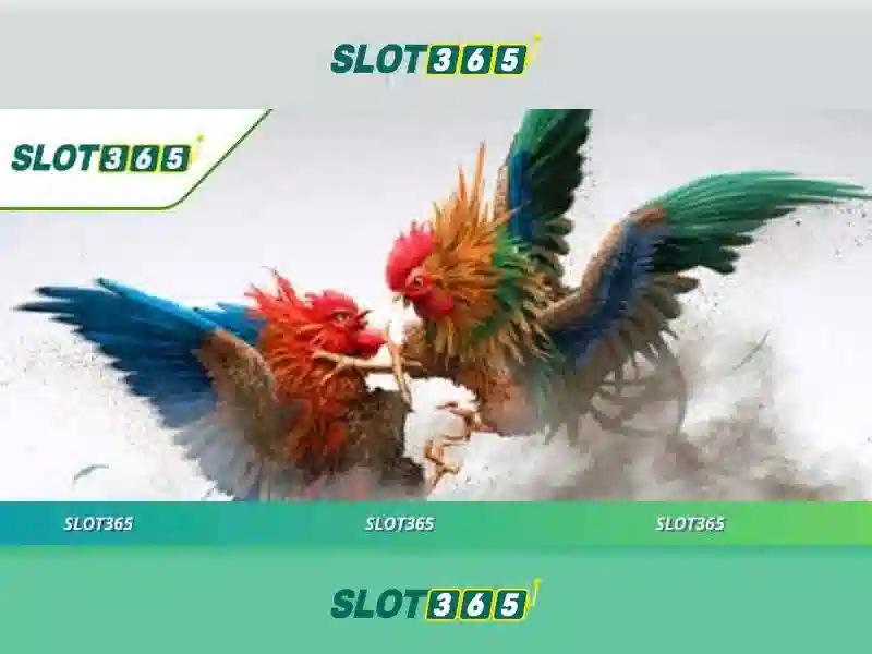 slot365 link: Trải nghiệm thực tế và đăng nhập Slot365
