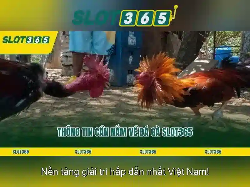 link Slot365 – Trải nghiệm và tải Slot365 dễ dàng