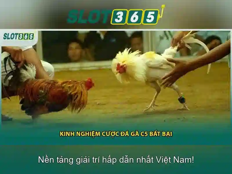 Tổng quan về Slot365 và các trò chơi